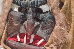 eu3673potzewaunig2647