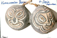 png08u09kokosschalen