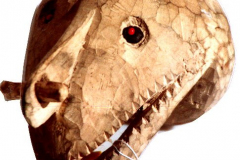 png106asmat-trophaeenschaedel