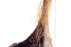 png121mimika-geflecht