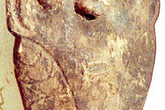 png169-krokoeimessung