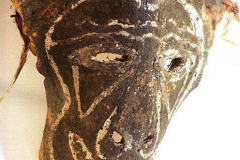 png169schildkroetenknochen