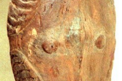 png184sepik
