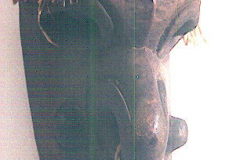 png206ramu
