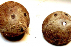 png221u-222aalmythe-2