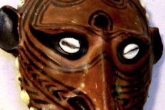 png231sepik-schildkroete-2