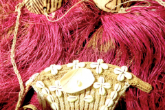 png248tonga-2