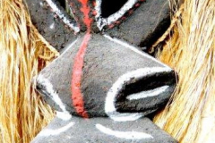 png249vanuatu-baumfarn-2