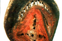 png27abelamklkorb