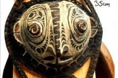 png36sepik-kokos