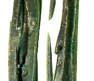 png74ramu