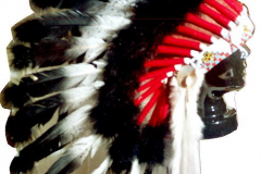 am190lakota-warrior-fair-pony