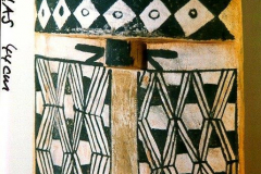 am13xingu