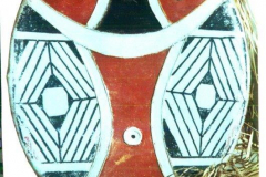 am46kamayura-xingu-oval