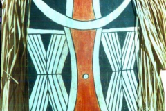 am47kamayura-xingu-ovaleckig