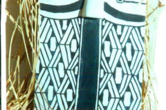 am48kamayura-xingu-eckig