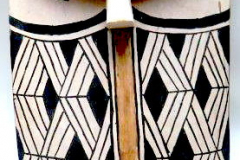 am774xingu-2