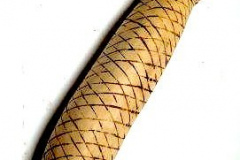 am775xingu-fisch-2