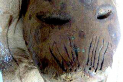am821tikuna-2