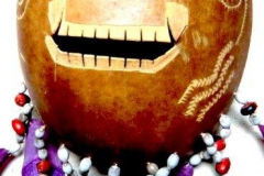 am963bora-amazonas-2