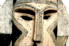 am970tucano-brasil-2