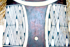 am973xingu-2