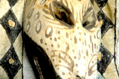 am977tikuna-amazonas-2