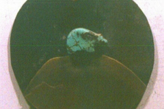 9622527_XXL