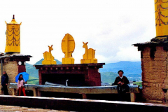 6848601_XXL 6848601_XXL