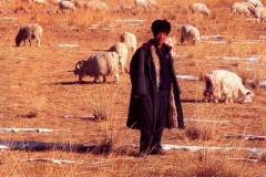 6848610_XXL 6848610_XXL