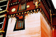 6848637_XXL 6848637_XXL