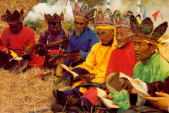 6848658_XXL 6848658_XXL