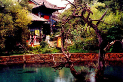 6848685_XXL 6848685_XXL