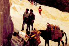 6848694_XXL 6848694_XXL