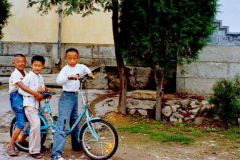 6848739_XXL 6848739_XXL