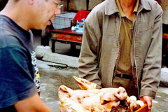 6848742_XXL 6848742_XXL