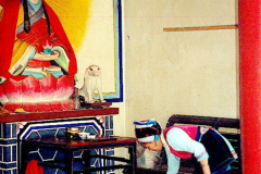 6848769_XXL 6848769_XXL