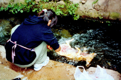 6848778_XXL 6848778_XXL