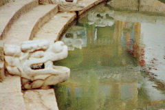 6848850_XXL 6848850_XXL