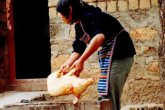 6848868_XXL 6848868_XXL