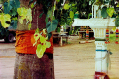 6851700_XXL 6851700_XXL