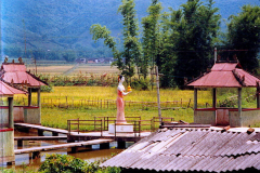 6851712_XXL 6851712_XXL