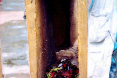 6851715_XXL 6851715_XXL