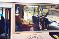6851718_XXL