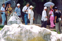 6848355_XXL 6848355_XXL