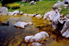 6848373_XXL 6848373_XXL