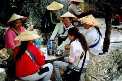 6848391_XXL 6848391_XXL