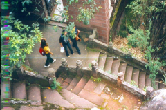 6848397_XXL 6848397_XXL