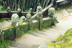 6848403_XXL 6848403_XXL