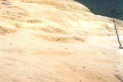 6848415_XXL 6848415_XXL